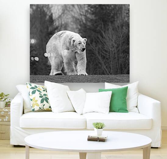 Polar Bear  Reproduction