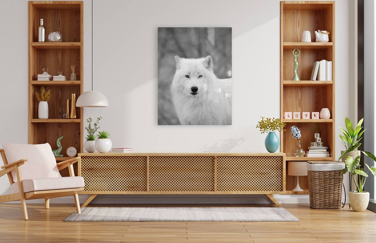 Arctic Wolf Reproduction