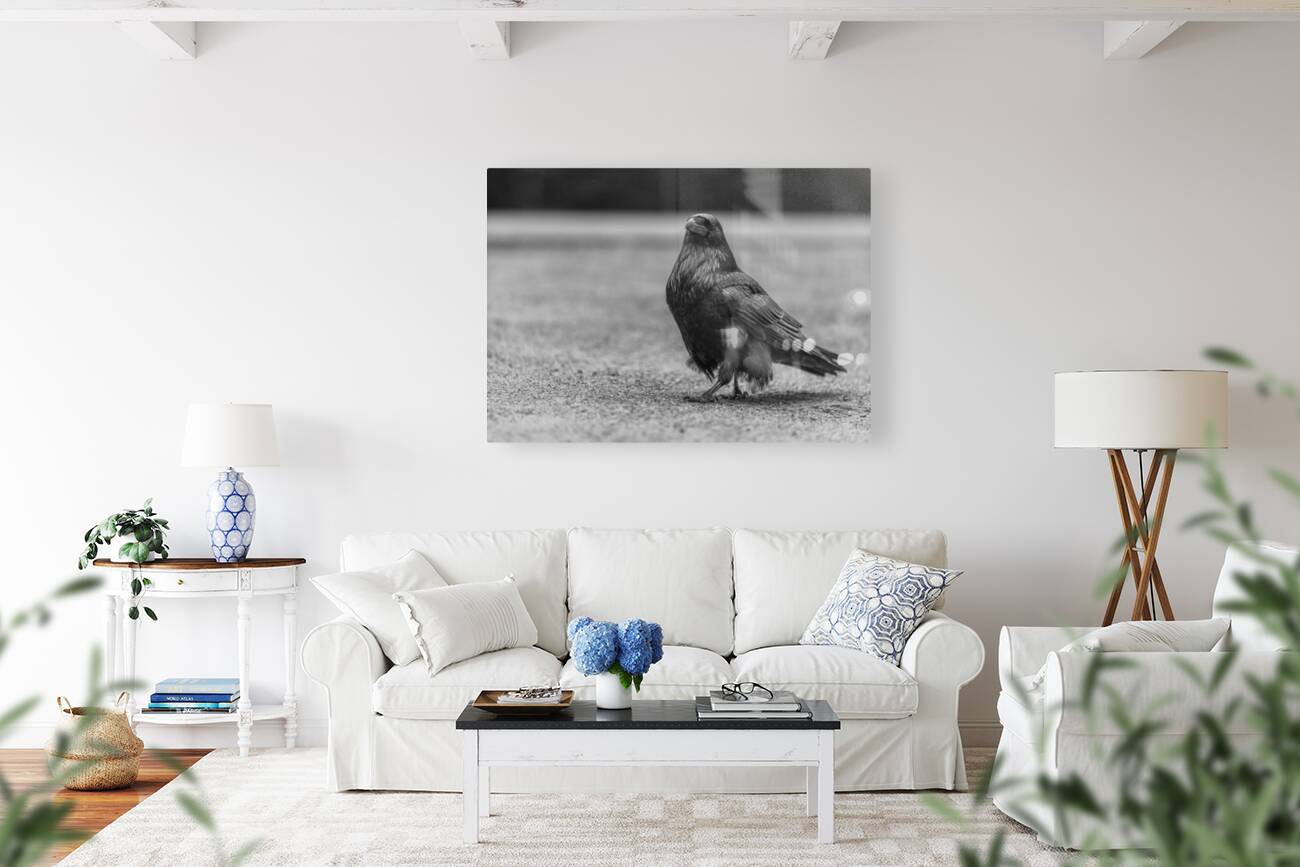 Three Eyed Raven Reproduction