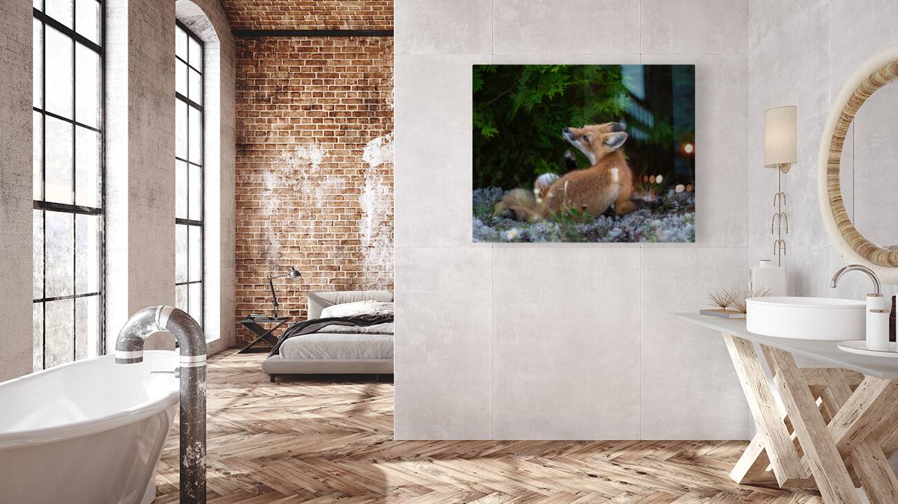 Fox in nature s embrace Reproduction