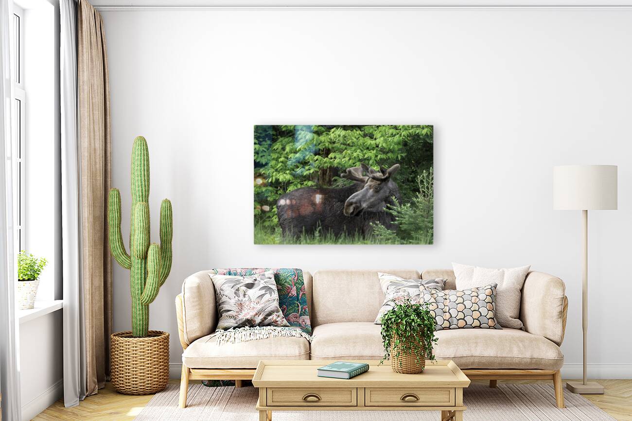 Gentle Giant Reproduction