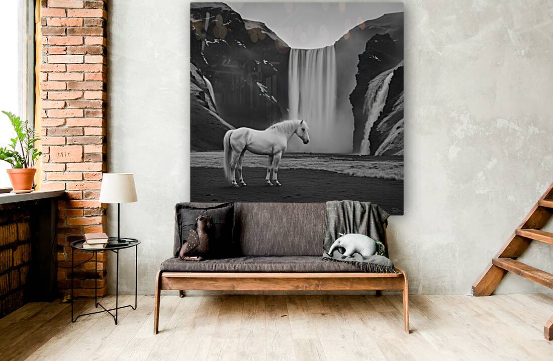 White Horse Reproduction