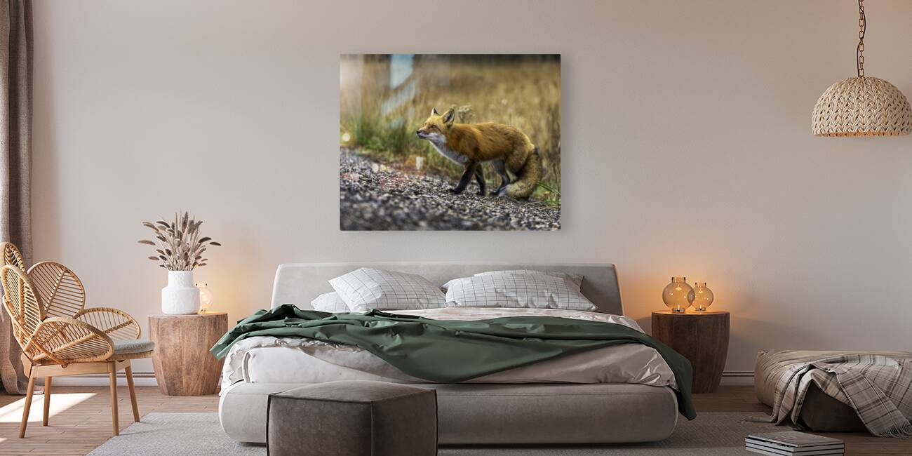 Opportunistic Fox Reproduction