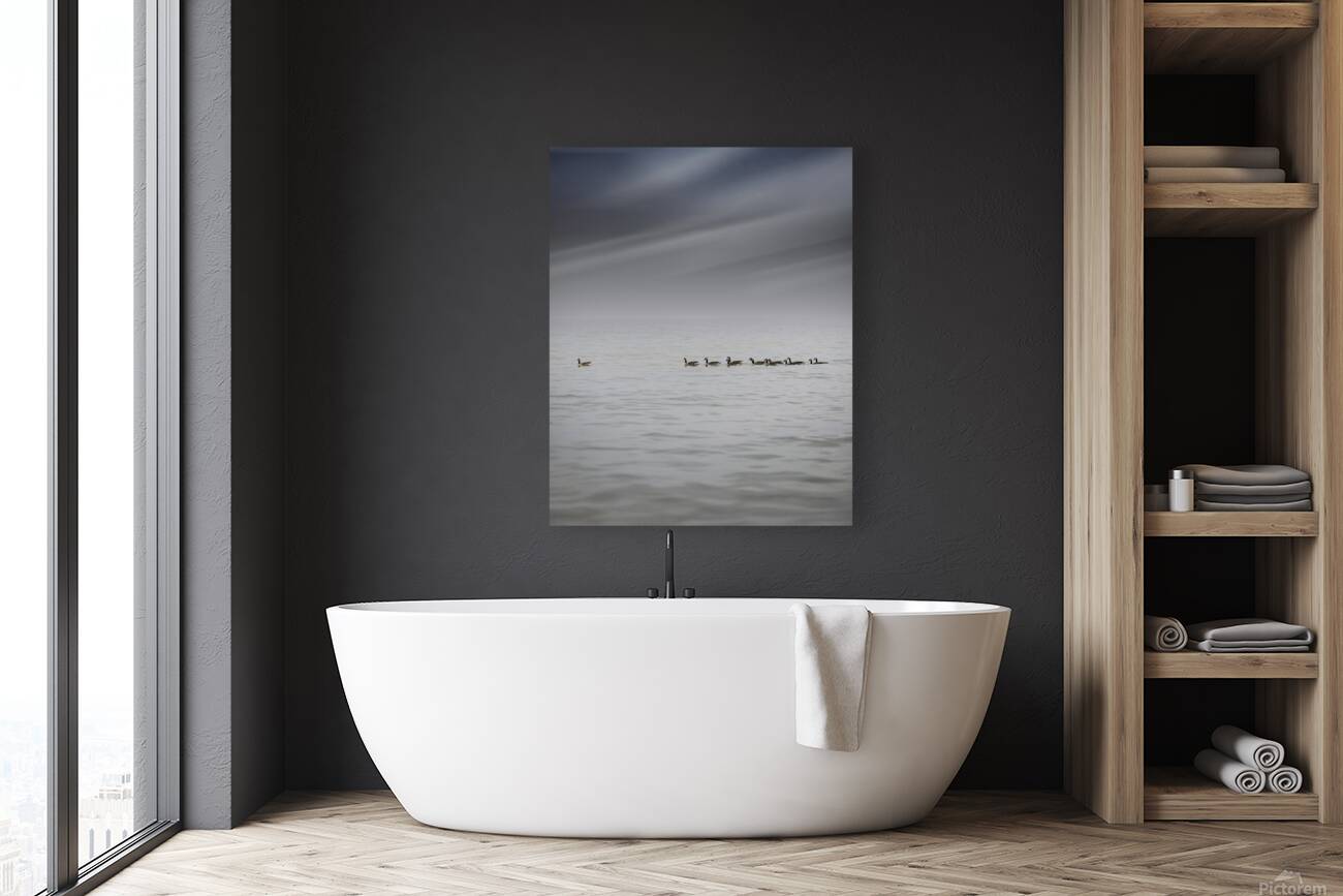 Gracefully Gliding Reproduction