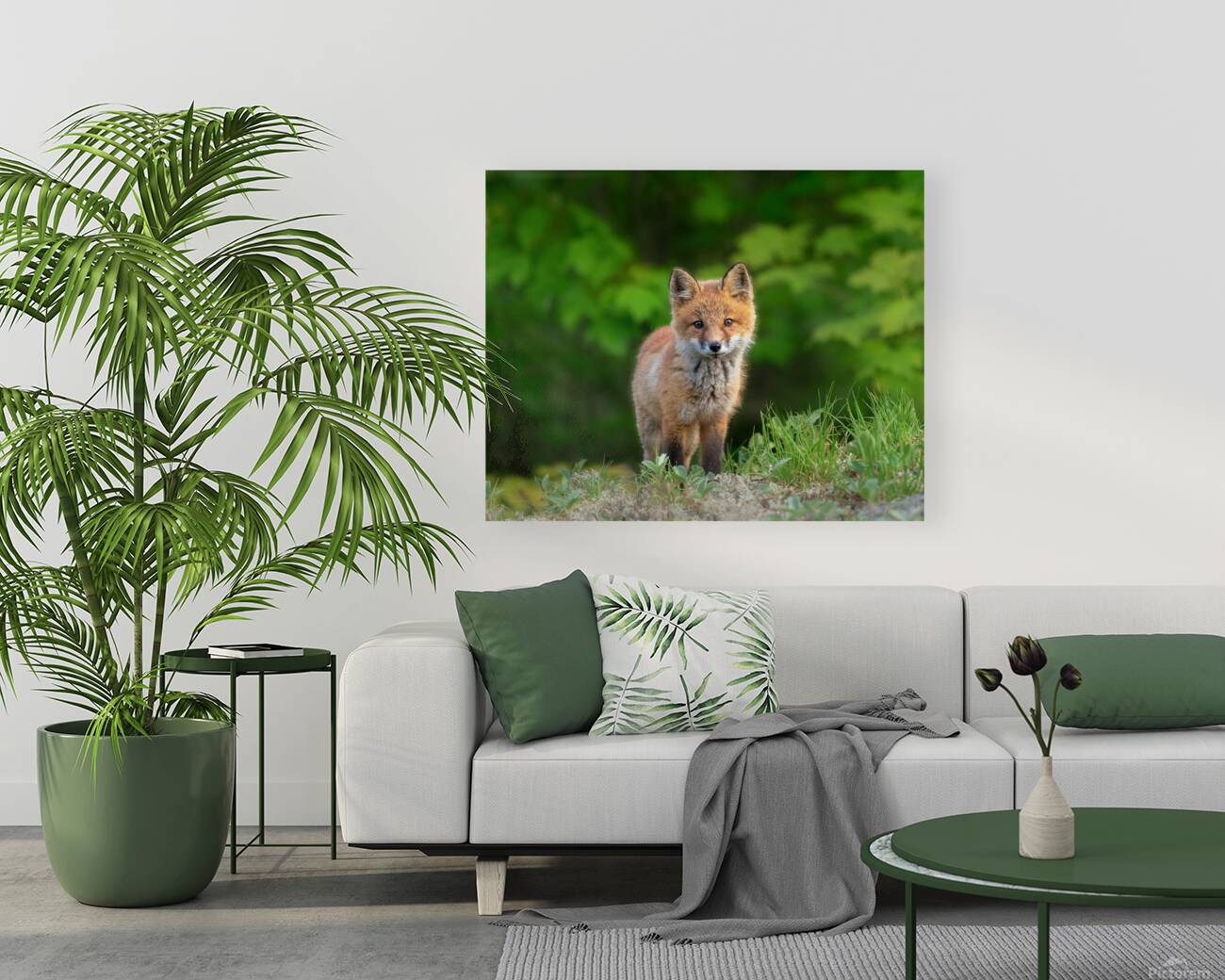 Portrait of a Fox Reproduction