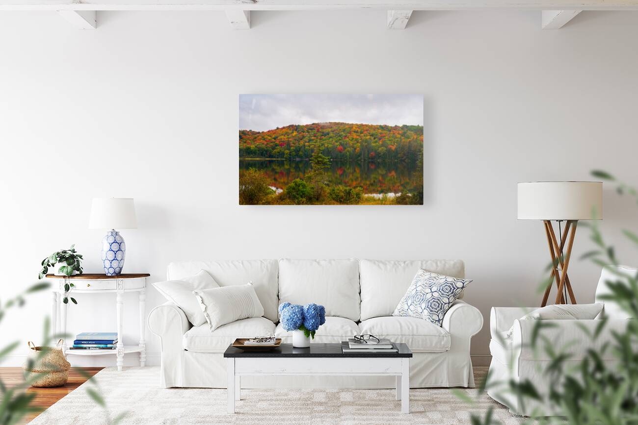 Algonquin Park in Autumn Reproduction