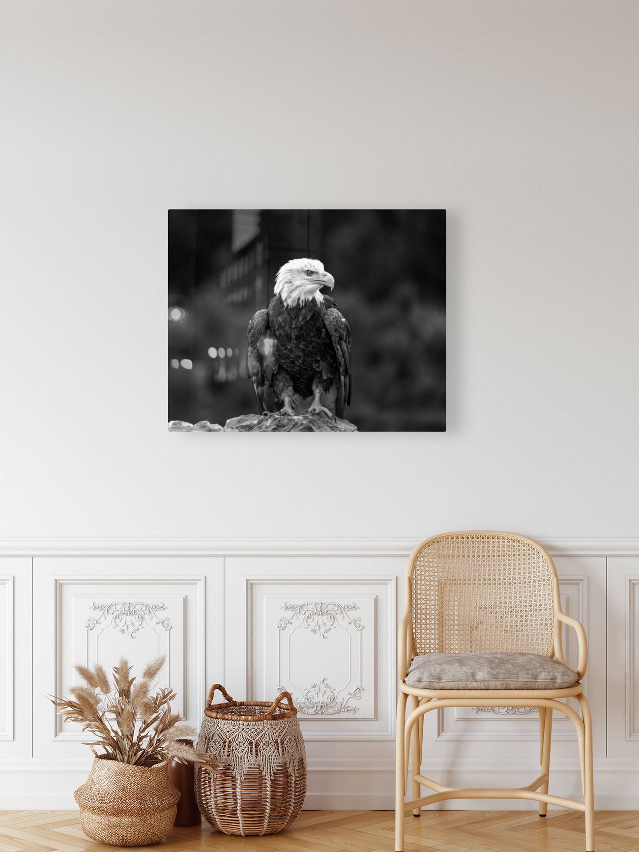 Bald Eagle Reproduction