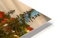 Vibrant Autumn HD Metal print