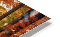 Autumns Display HD Metal print