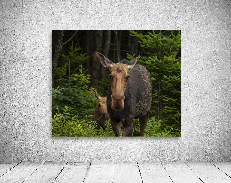 Love of a Mom Wall Preview