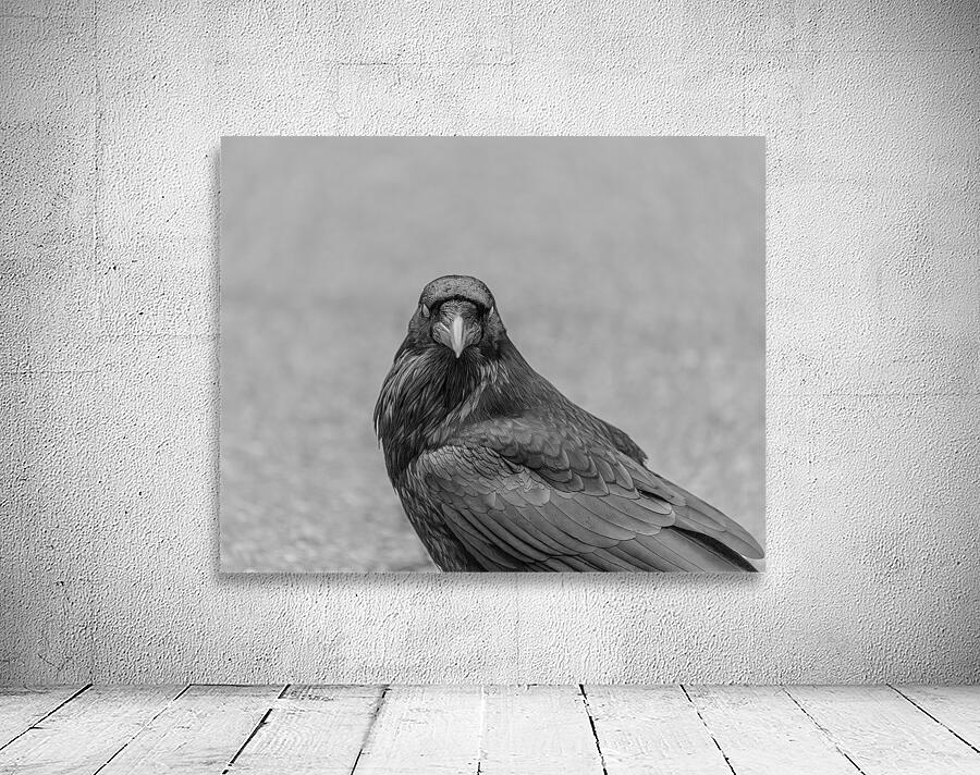 Raven Eyes Wall Preview