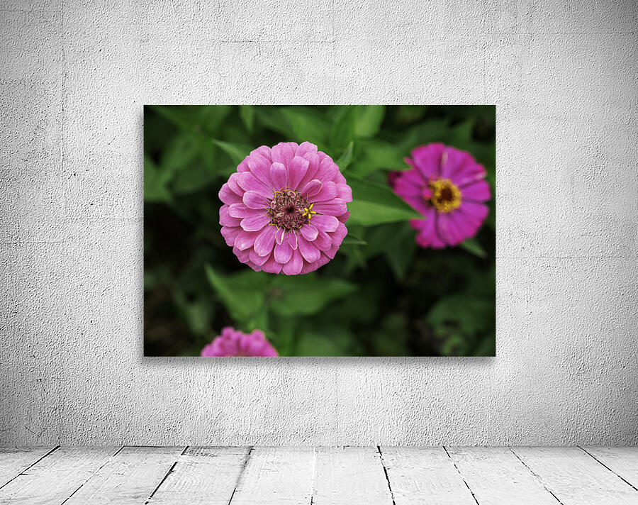 Nature’s art palette Wall Preview