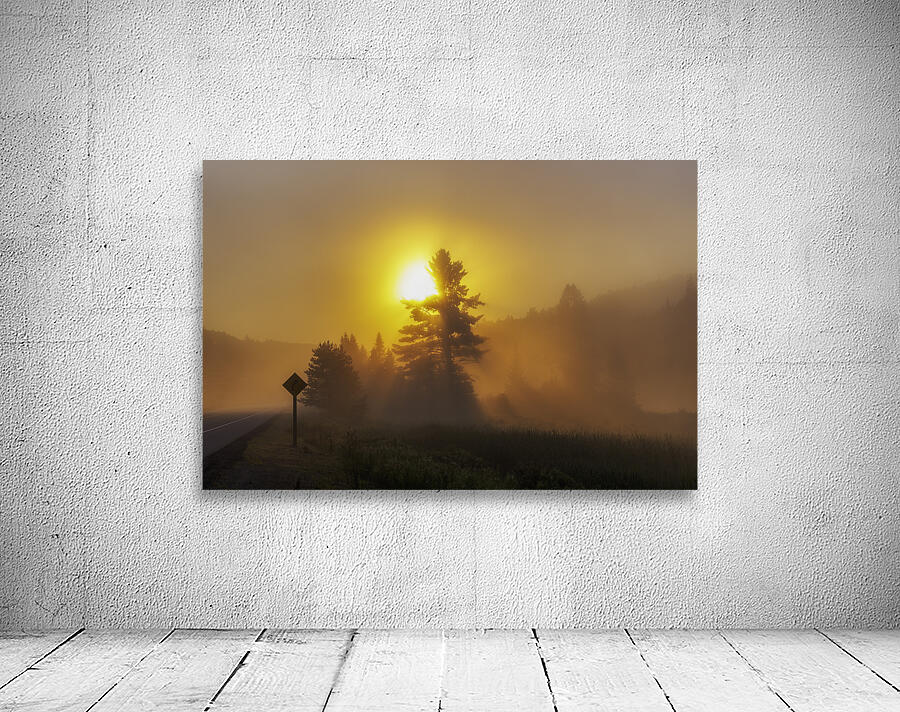 Algonquin Park Sunrise Wall Preview