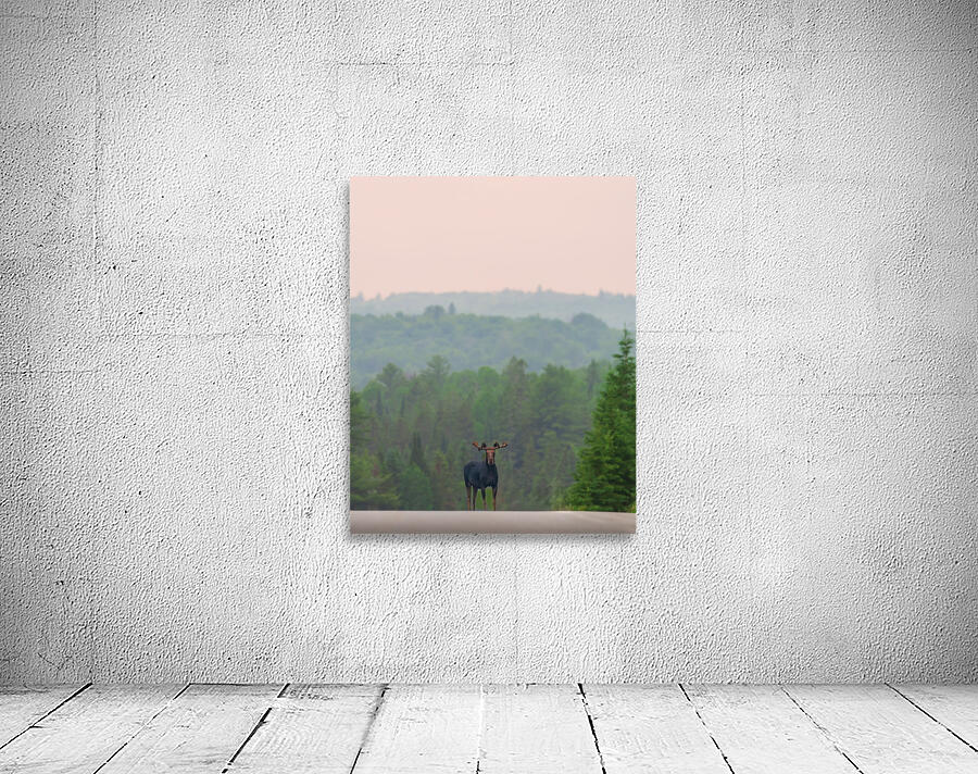 Standing Guard Wall Preview