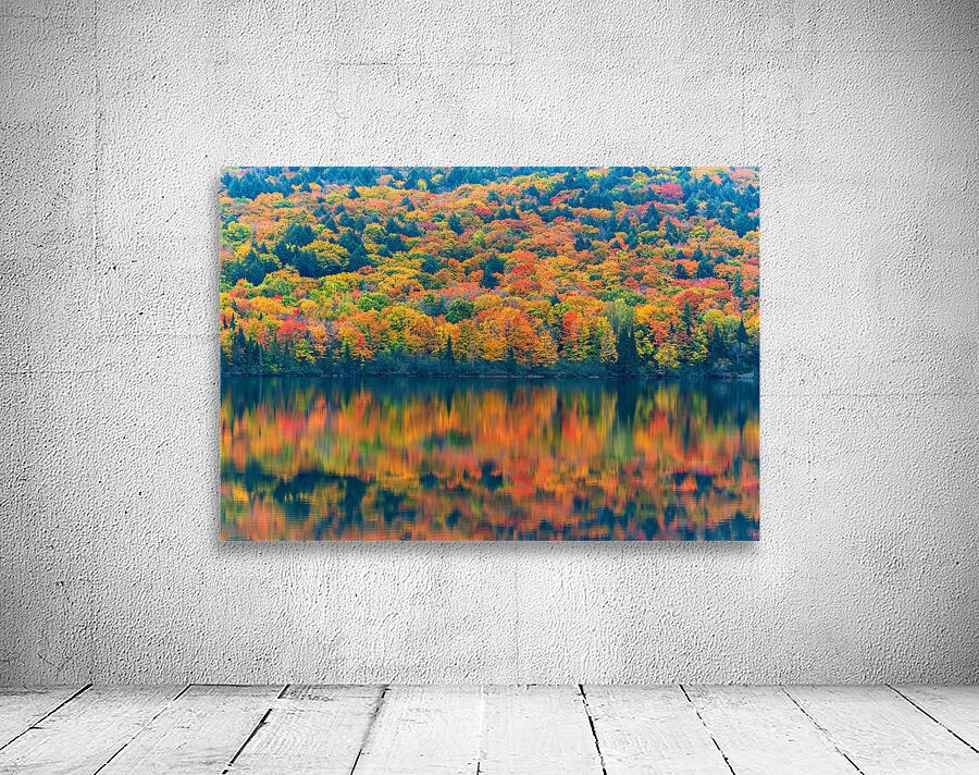 Autumns Attire Wall Preview