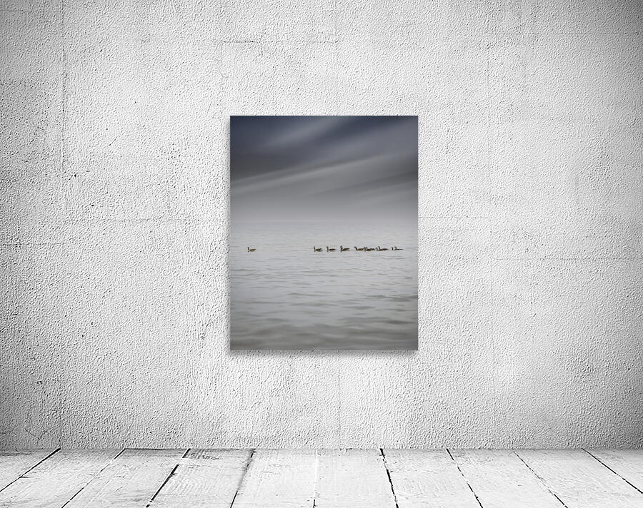 Gracefully Gliding Wall Preview