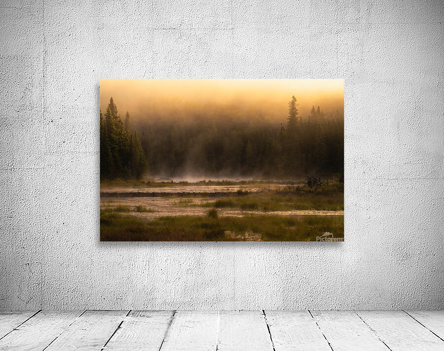 Summer morning in Algonquin Park Wall Preview