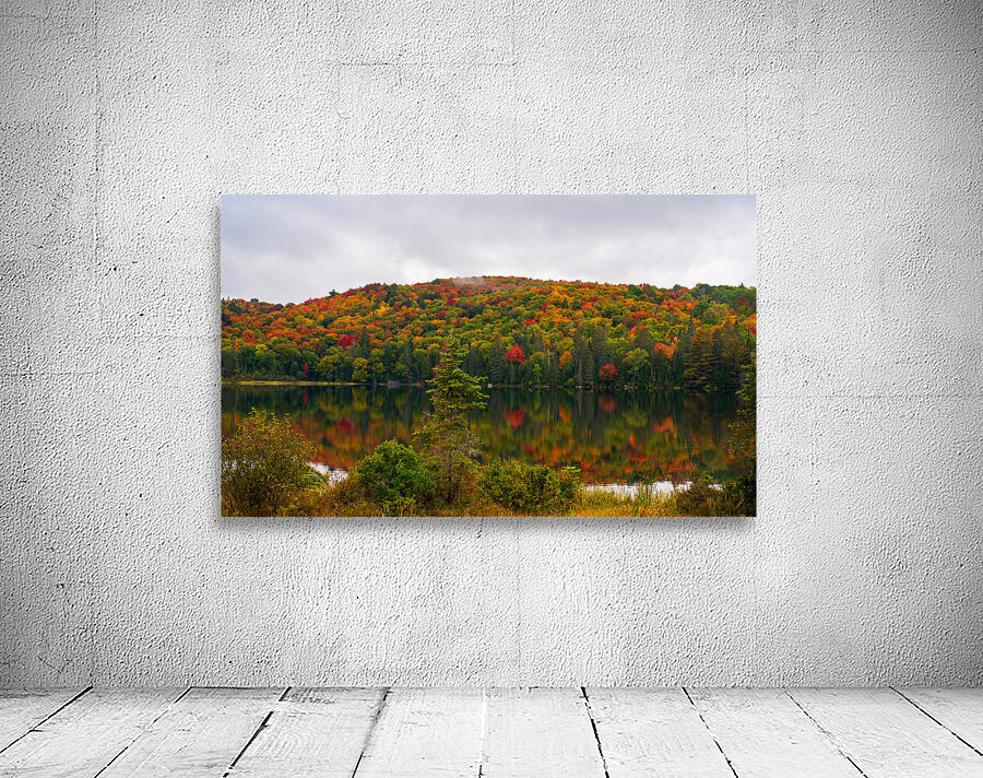 Algonquin Park in Autumn Wall Preview