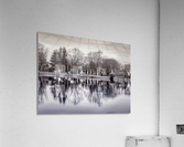 ile Roussin Acrylic Print