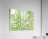 Herbe haute Acrylic Print
