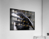 La corneille Acrylic Print