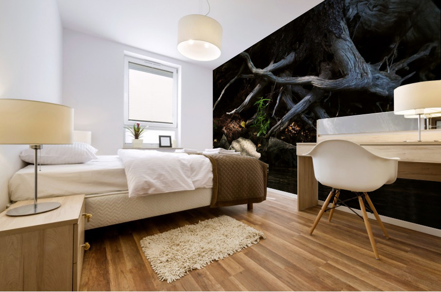 1000 islands Mural print