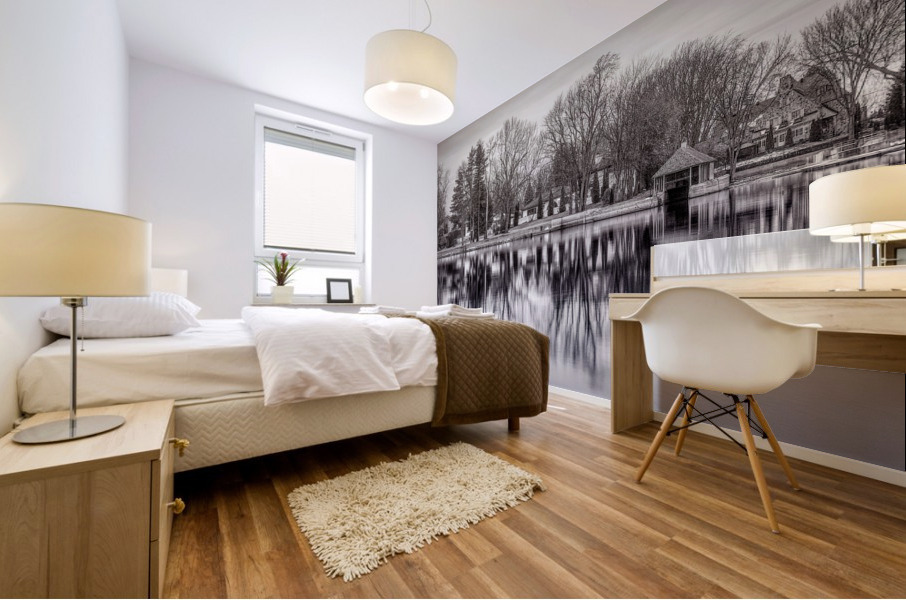 ile Roussin Mural print