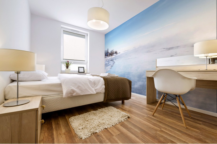 Sorel winter Mural print