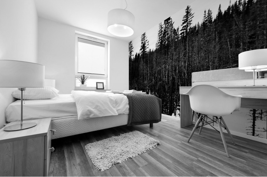 Cote Nord Mural print