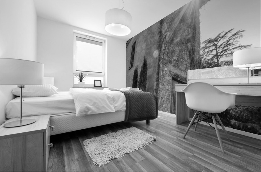 Provence Mural print