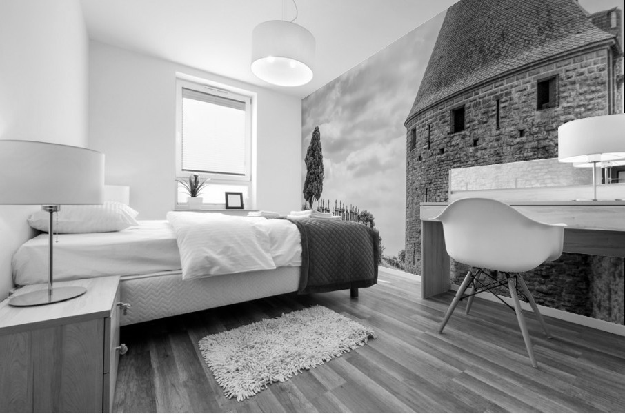 Carcassonne Mural print