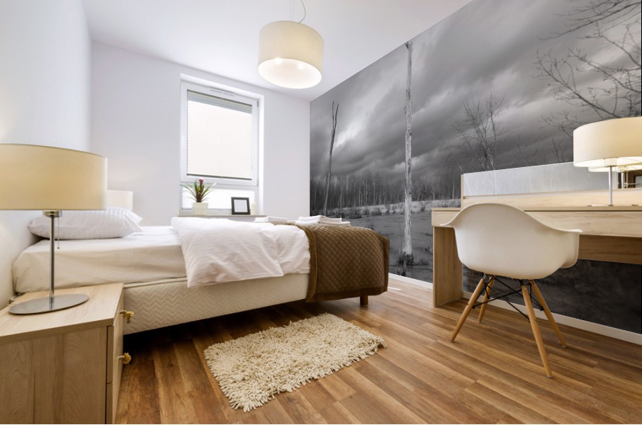 Dead wood Mural print