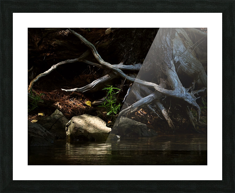1000 islands Picture Frame print