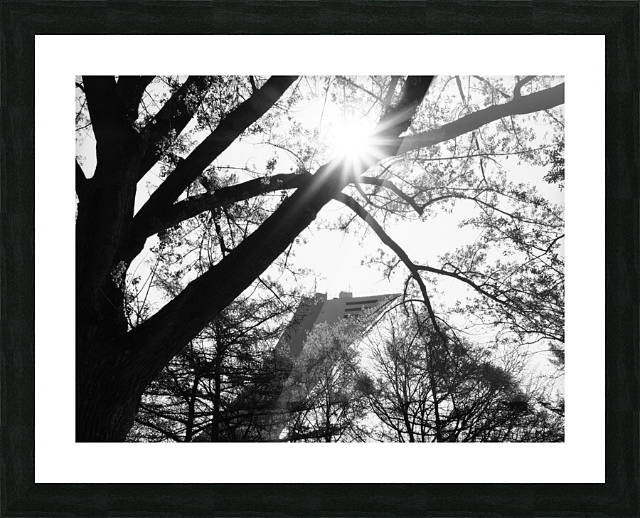 Stade Olympique Picture Frame print