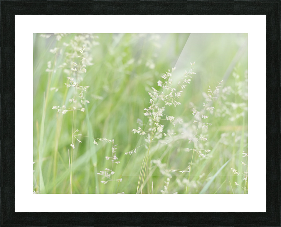 Herbe haute Picture Frame print