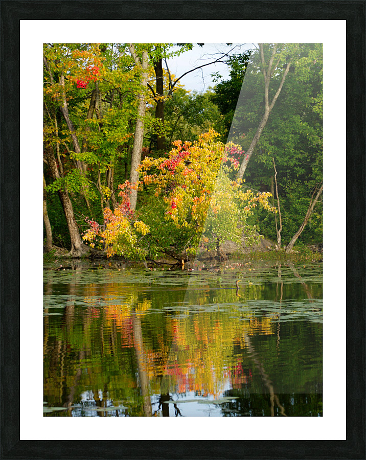 Automne Picture Frame print