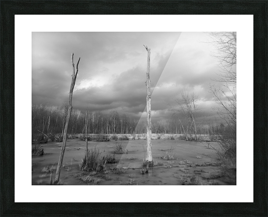 Dead wood Picture Frame print