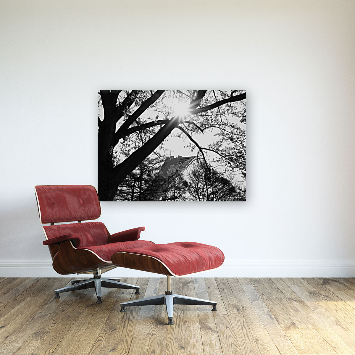 Stade Olympique Reproduction