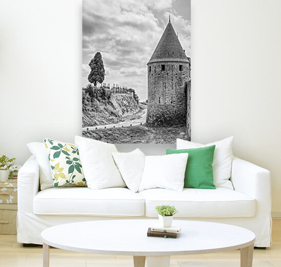 Carcassonne Reproduction