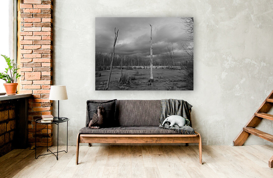 Dead wood Reproduction