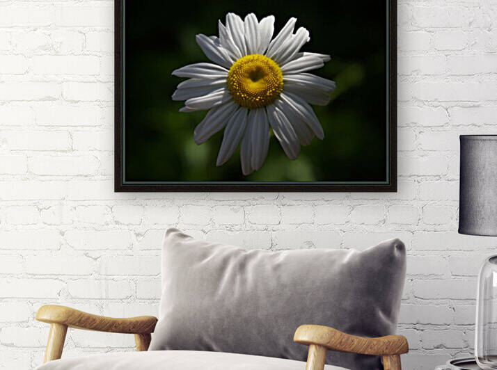 marguerite by Christophe Modot