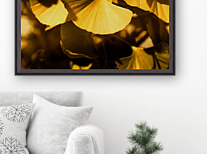 Ginkgo by Christophe Modot