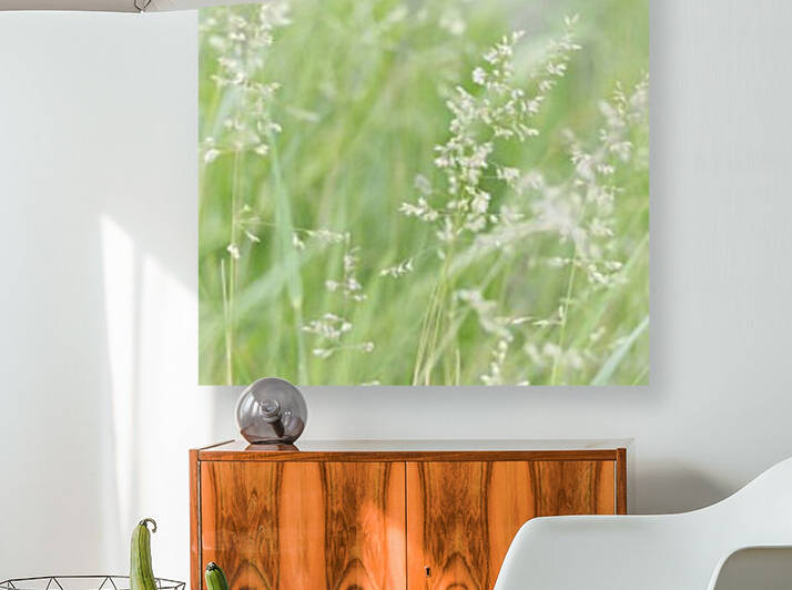 Herbe haute by Christophe Modot