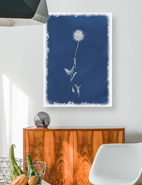Cyanotype 101 by Christophe Modot