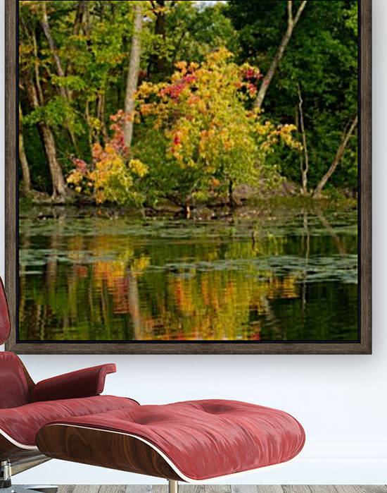 Automne by Christophe Modot