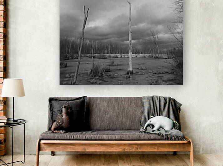 Dead wood by Christophe Modot