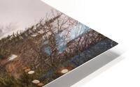 La route HD Metal print