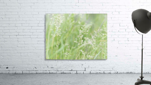 Herbe haute Wall Preview