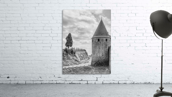 Carcassonne Wall Preview