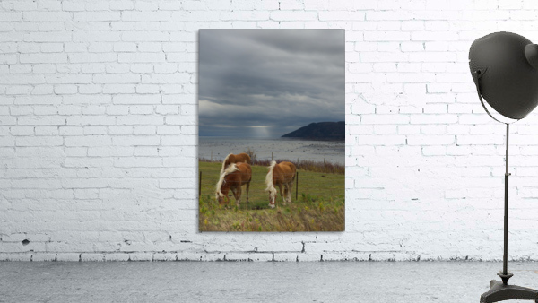 Chevaux Wall Preview